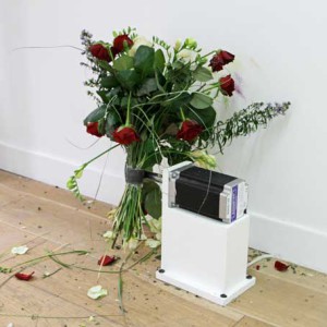 Simon Nicaise, And You Hit, Hit, Hit, Its Your Way Of Loving, 2010, Bunch of flowers, motor, programmer and stand, 45x 45 x 30  cm