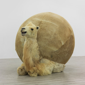 Yang Maoyuang, Mandala Camel No.02, 2014, Taxidermie de chameau, cuir de vache, caoutchouc, sacs, 270 x 190 190 cm