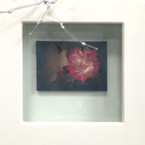 Song Kun, Drunk Flower, 2014, Huile sur toile et lightbox, 60 x 60 cm