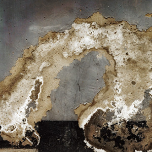 Wen Fang, Wall n°01 – Hou hai, 2005, Digital print, 260 x 85 cm