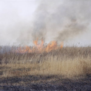 Zhang Kechun, The Yellow River No.08 – Fire burning in a wetland, Shaanxi, 2011, Inkjet print, 115 x 147 cm