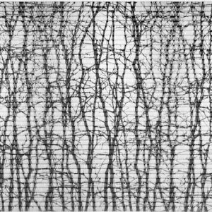 Wang Ningde, Thicket No.2, 2014, Mixed media, 156 x 291 x 5 cm