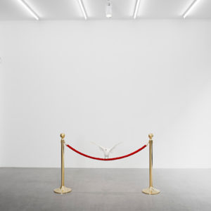 MyeongBeom Kim, Untitled, 2017, colombe, cordon et poteau de guidage, 95 x 150 cm
