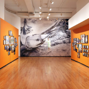 Beijing Silvermine, vue d’exposition au Chicago Museum of Contemporary Photography