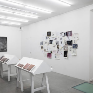 Fu Site, exhibition view at Galerie Paris-Beijing