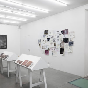 Fu Site, vue d’exposition à la Galerie Paris-Beijing