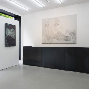 Miao Xiaochun, exhibition view at Galerie Paris-Beijing