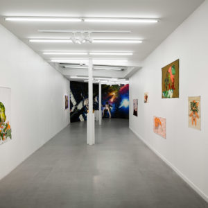 Gozde Ilkin, vue de l’exposition Home is where the (he)art sous le commissariat de Yann Perreau, Galerie Paris-Beijing, 2018