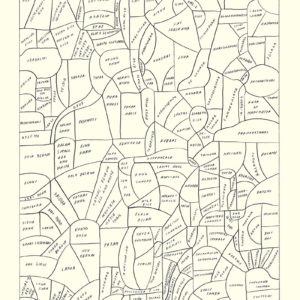 Carlos Alfonso, Phrenology of Rice 1, graphite pen on paper, 50 x 35,5 cm, 2018