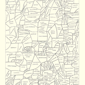 Carlos Alfonso, Phrenology of Rice 2, graphite pen on paper, 50 x 35,5 cm, 2018