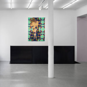 Gözde Ilkin, Organized Habitation, exhibition view, Galerie Paris-Beijing, 2019