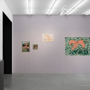Gözde Ilkin, Organized Habitation, Vue d’expositioin, Galerie Paris-Beijing, 2019