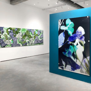 Baptiste Rabichon,There Should Have Been Roses,Lianzhou Museum of Photography, 2017-2018, Lianzhou, China, vue d’exposition