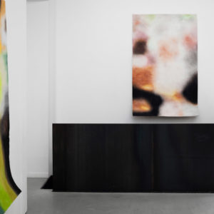 Léa Belooussovitch, Rémanences, GPBProject, Galerie Paris-Beijing, 2017, Paris, France, vue d’exposition