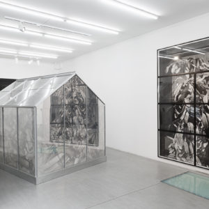 Vue d’exposition, Justin Weiler – «Operire #5», 2020, Galerie Paris-Beijing