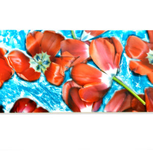 Baptiste Rabichon, Les fleurs – Les tulipes rouges, 2016, Unique chromogenic print, 127 x 400 cm