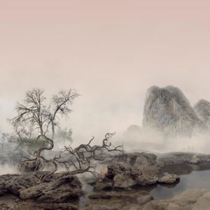 Yang Yongliang, Imagined Landscape – Tiger, 2021, Impression Ultra Giclée / Light box, 110 x 110 cm