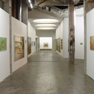 Marion Bataillard, Group Show : Un Grain de toute Beauté. Lauréats du 60ème salon de Montrouge. Curated by Stéphane Corréard, Palais de Tokyo, 2015, Paris.