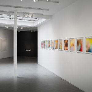 Léa Belooussovitch, Le chant des cygnes, Exhibition view, PARIS-B, Paris, 2022