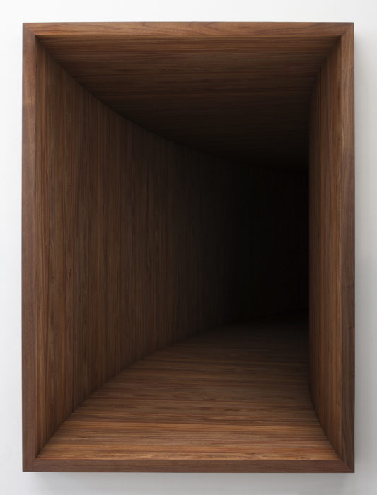 Theis Wendt Void no. 11, 2023. Mahogany frame, fine art print, 200 x 140 x 10cm. Edition of 5. PARIS-B