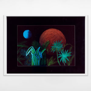 Baptiste Rabichon, Vues d’artiste #02, 2022, photogram, 30 x 40 cm