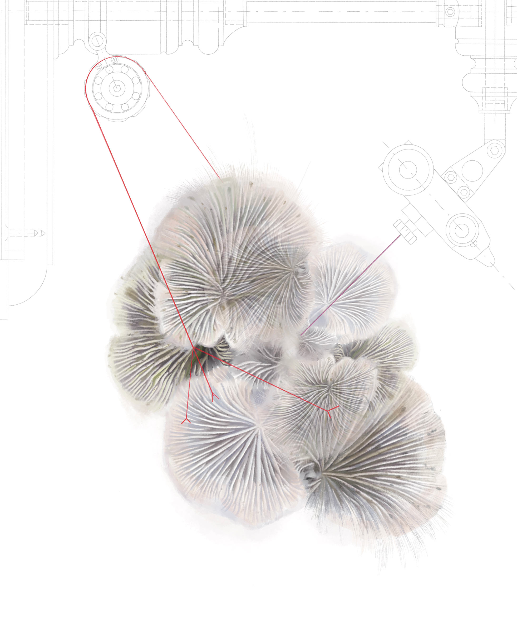 Veronika Csonca, Biotic Mechanism Drawings, 2022, graphite, colour pencil and aquarelle on paper, 110 x 90 cm