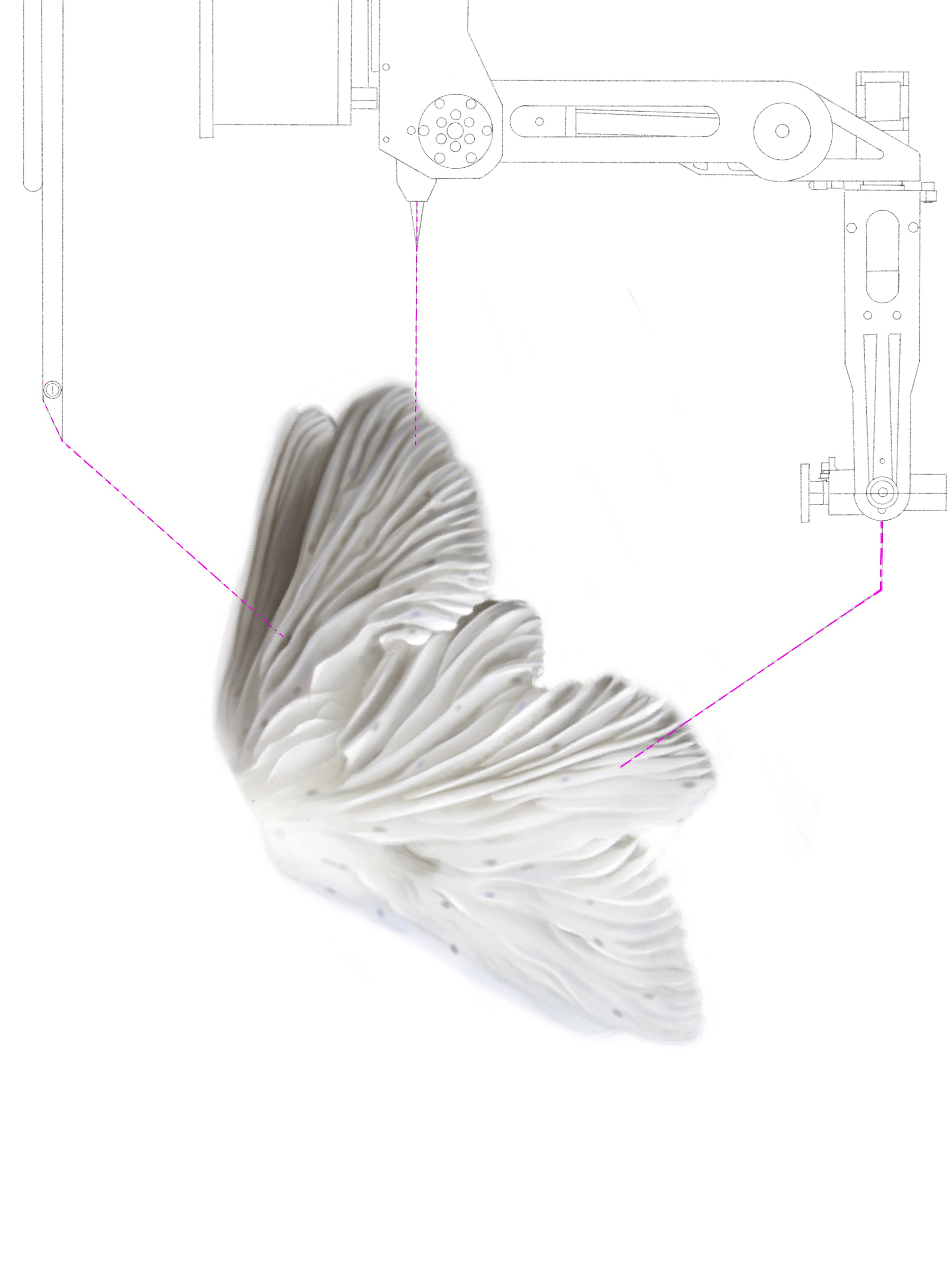 Veronika Csonka, Biotic Mechanism Drawings, 2022, graphite, colour pencil and aquarelle on paper, 90 x 70 cm