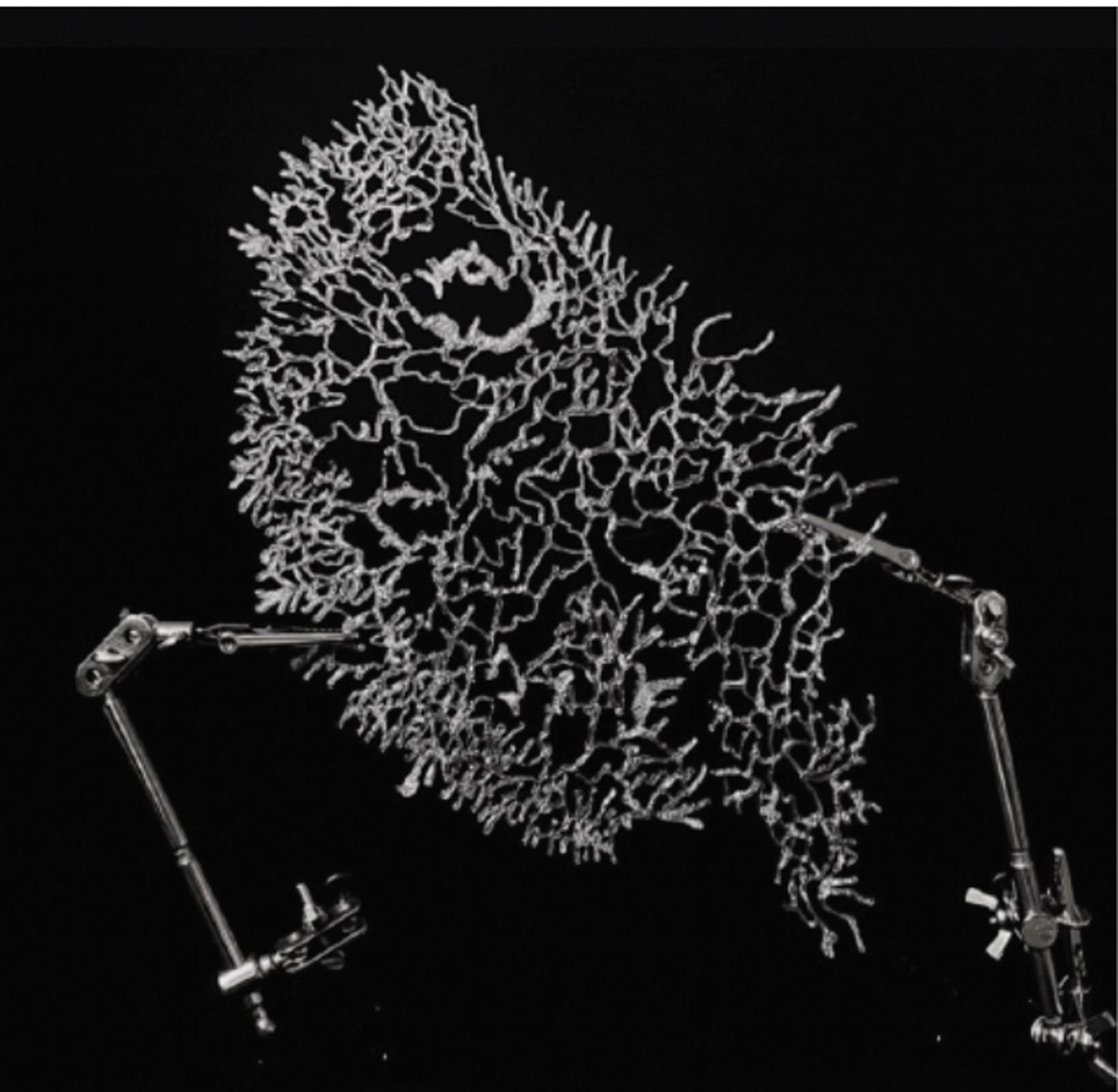 Veronika Csonka, Biotic mechanism object 1, 2022, Eco PLA, metal, 32 x 27 x 4,5 cm