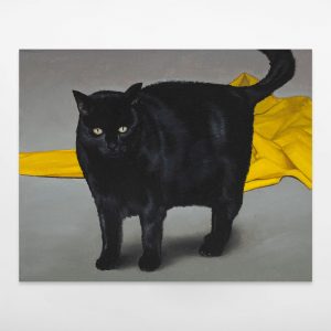 François Malingrëy – Le chat et le drapé, 2024, Oil on canvas, 33 x 41 cm