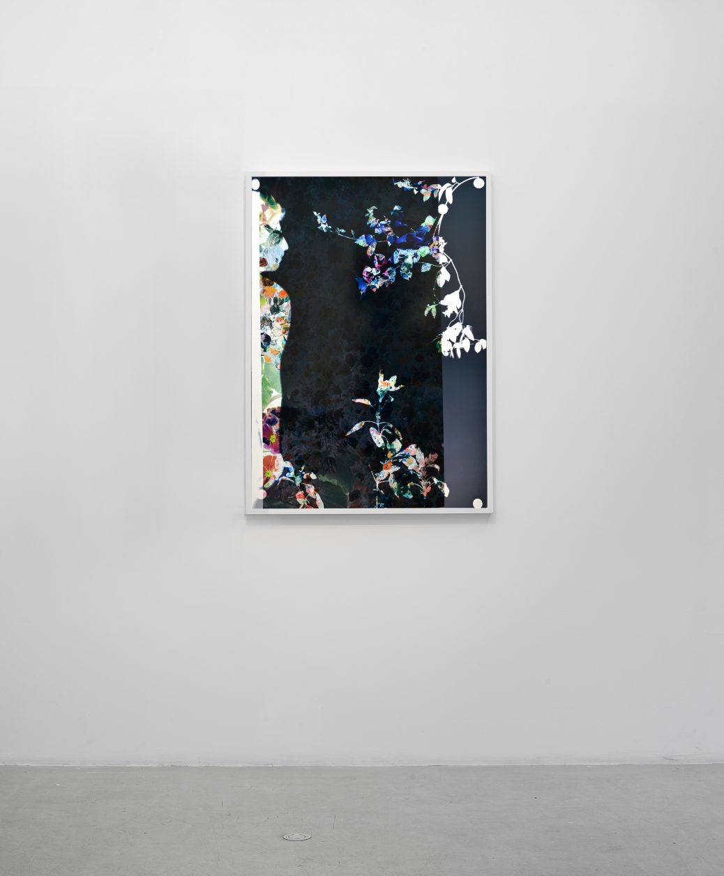 Baptiste Rabichon, Ranelagh, 2016, Epreuve chromogène unique, 127 x 90 cm