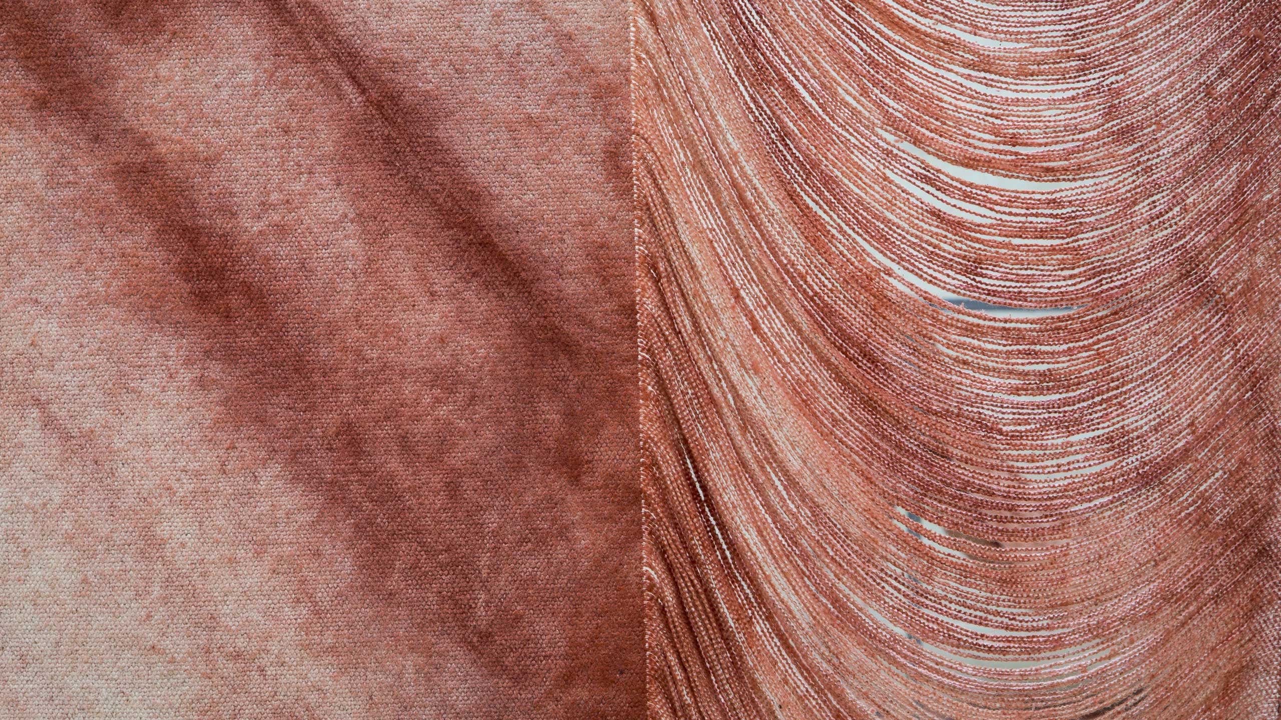 Slide-web-Golnaz_Payani_Thouars_©_Nicolas_ROUGET-2025